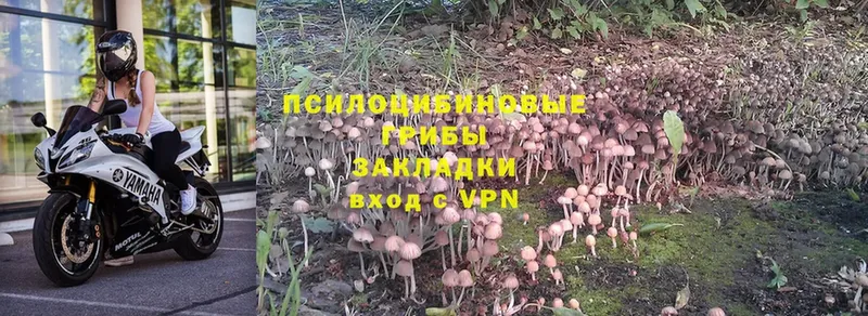 Галлюциногенные грибы MAGIC MUSHROOMS  Геленджик 